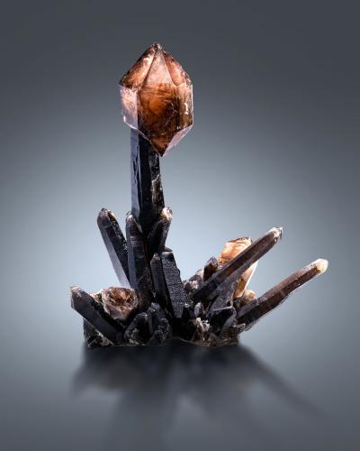 Quartz (varieties smoky and scepter)<br />Petersen Mountain, Hallelujah Junction area, Washoe County, Nevada, USA<br />22.5 x 17 x 30 cm / main crystal: 29 cm<br /> (Author: MIM Museum)