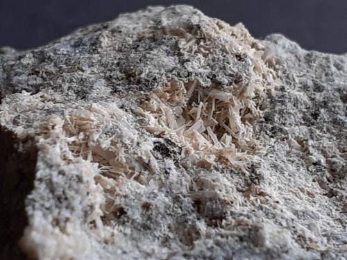 Tuscanite<br />Biachella Valley, Caldera di Sacrofano, Magliano Romano, Roma Province, Lazio, Italy<br />3,5 x 3 cm<br /> (Author: Volkmar Stingl)