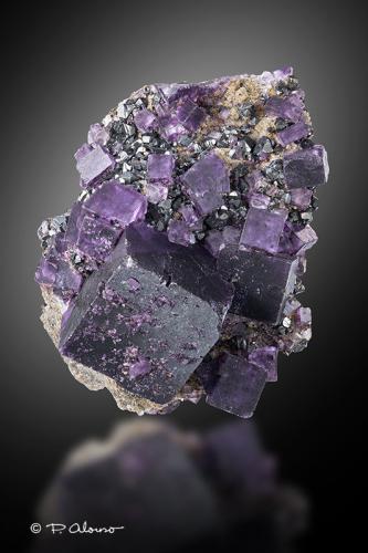 Fluorita + Esfalerita<br />Cave-in-Rock, Sub-Distrito Cave-in-Rock, Condado Hardin, Illinois, USA<br />6cm x 7,5cm x 5cm<br /> (Autor: Pere Alonso)