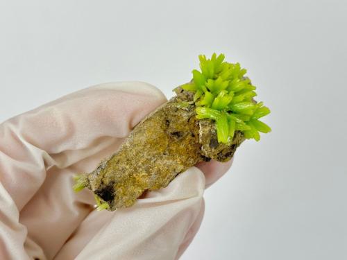 Pyromorphite<br />Yangjiang Prefecture, Guangdong Province, China<br />6 x 2.9 x 3 cm<br /> (Author: Jordi Fabre)