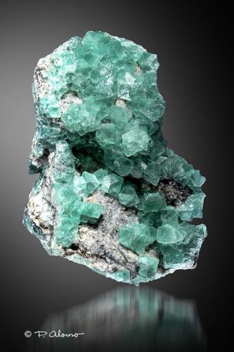 Fluorita<br />Pedrera Berta, Turó de Can Domènech, Serra de Roques Blanques, Sant Cugat del Vallès-El Papiol, Comarca Vallès Occidental / Baix Llobregat, Barcelona, Cataluña / Catalunya, España<br />11cm x 8cm x 6,5cm<br /> (Autor: Pere Alonso)