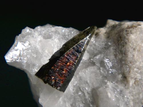 Aegirina, Cuarzo<br />Rundemyr, Øvre Eiker, Buskerud, Norway<br />Cristal de 2,1 cm.<br /> (Autor: Antonio P. López)