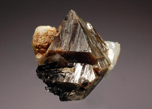 Scheelite<br />Mina Tae Hwa, Neungam-ri, Angseong-myeon, Chungju, Chungcheongbukdo, Corea del Sur<br />3.0 x 2.8 cm<br /> (Author: Michael Shaw)