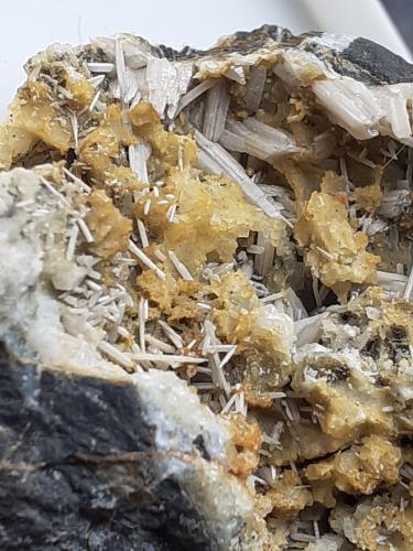Cerussite<br />Glücksrad Mine, Oberschulenberg, Clausthal-Zellerfeld, Goslar District, Harz, Lower Saxony/Niedersachsen, Germany<br />6 x 3,5 cm<br /> (Author: Volkmar Stingl)