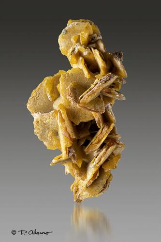 Wulfenita<br />Sidi Amer area, Touissit, Touissit District, Jerada Province, Oriental Region, Morocco<br />3cm x 6cm x 3,5cm<br /> (Autor: Pere Alonso)