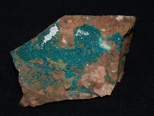 Dioptase<br />Christmas Mine, Christmas, Banner District, Dripping Spring Mountains, Gila County, Arizona, USA<br />8.5x5.7x1.5 cm''s<br /> (Author: Joseph DOliveira)