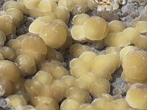 Calcite<br />Campomorto Quarry, Pietra Massa, Montalto di Castro, Viterbo Province, Lazio, Italy<br />10,5 x 7 cm<br /> (Author: Volkmar Stingl)
