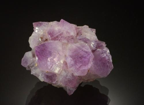 Quartz (variety amethyst)<br />La Manche, Bahía de Placentia, Newfoundland (Isla), Newfoundland and Labrador, Canadá<br /><br /> (Author: Michael Shaw)