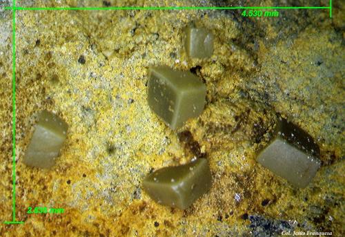 Wulfenita.<br />Minas del Barranco del Humo, Albuñuelas, Comarca Valle de Lecrín, Granada, Andalucía, España<br />4´53x2´63 mm.<br /> (Autor: Jesus Franquesa Baucells)