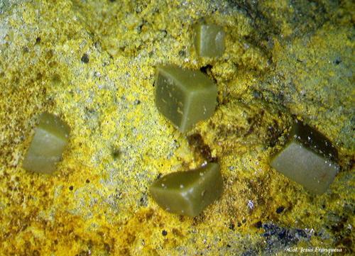 Wulfenita.<br />Minas del Barranco del Humo, Albuñuelas, Comarca Valle de Lecrín, Granada, Andalucía, España<br />4´53x2´63 mm.<br /> (Autor: Jesus Franquesa Baucells)