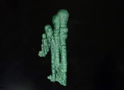 Malachite<br />Distrito Kolwezi, Lualaba, Cinturón de cobre de Katanga, Katanga (Shaba), República Democrática del Congo (Zaire)<br />7.1 x 2.4 x 1.2 cm<br /> (Author: Michael Shaw)