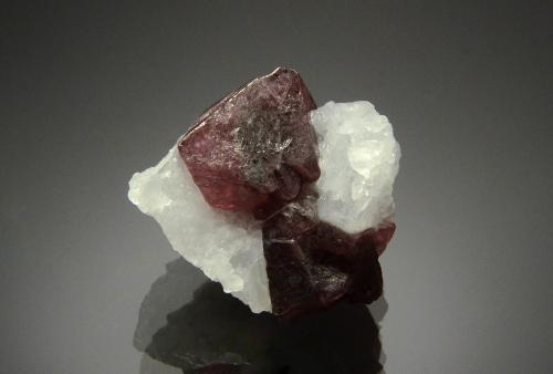 Spinel<br />Mahenge Mountains, Morogoro Region, Tanzania<br />2.5 x 2.0 cm<br /> (Author: Michael Shaw)
