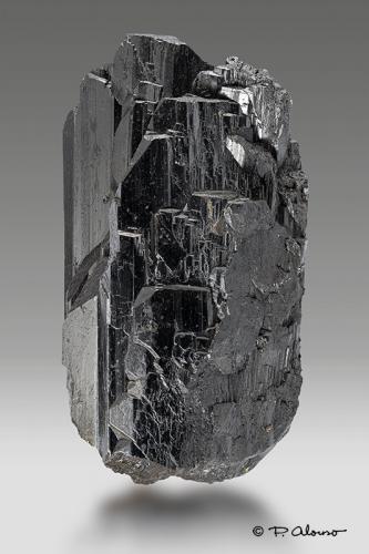 Ferberita<br />Minas da Panasqueira, Aldeia de São Francisco de Assis, Covilhã, Castelo Branco, Cova da Beira, Centro, Portugal<br />12cm x 6,5cm x 4,5cm<br /> (Autor: Pere Alonso)