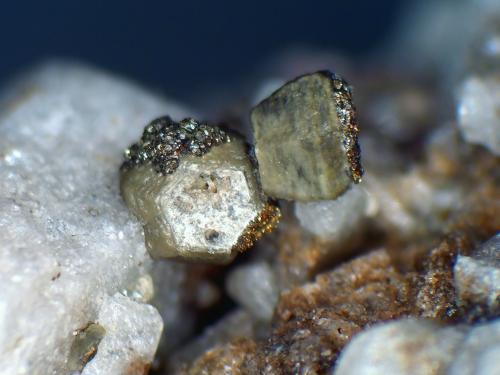 Alicewilsonita-(YCe), Pirita<br />Poudrette Quarry, Mont Saint-Hilaire, La Vallée-du-Richelieu RCM, Montérégie, Québec, Canada<br />Cristales de 2 mm.<br /> (Autor: Antonio P. López)