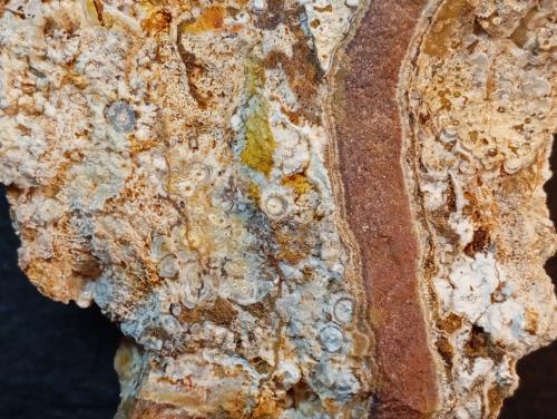 Celestina<br />Concesión Minerama II, Urbanización Puente Tablas, Jaén ciudad, Jaén, Comarca Metropolitana de Jaén, Andalucía, España<br />13 x 10 cm.<br /> (Autor: Felipe Abolafia)