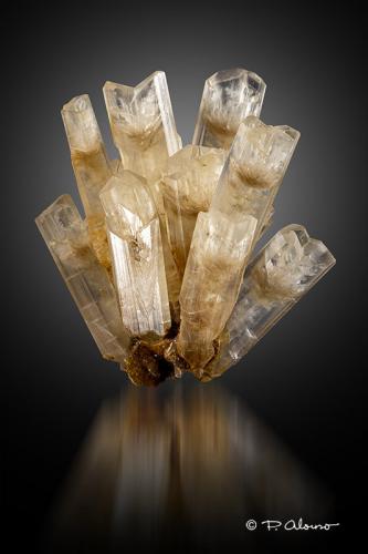 Yeso<br />Assal Lake, Tadjourah Region, Republic of Djibouti<br />5,5cm x 6,5cm x 3,5cm<br /> (Autor: Pere Alonso)