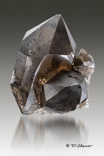 Cuarzo (variedad ahumado)<br />Arête des Rochassiers, Glaciar Talèfre, Mont Blanc, Chamonix, Haute-Savoie, Auvergne-Rhône-Alpes, Francia<br />4,5cm x 5cm x 3,5cm<br /> (Autor: Pere Alonso)
