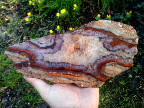 Quartz (variety agate)<br />Kláterecká Jesen, Kláterec nad Ohří, Distrito Chomutov, Región Ústí nad Labem, República Checa<br />~ 14 x 30 cm<br /> (Author: stoner)