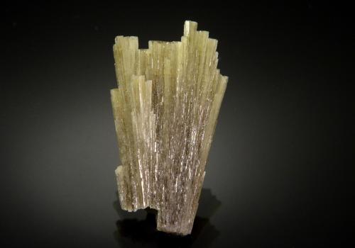 Diopside<br />Jeffrey Mine, Asbestos, Les Sources RCM, Estrie, Québec, Canada<br />2.7 x 1.8 cm<br /> (Author: Michael Shaw)