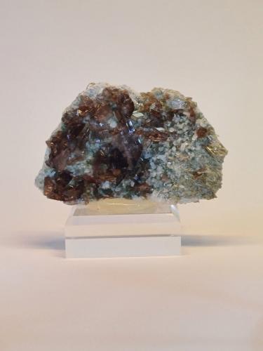 Axinite<br />Rochers de l'Armentier, Le Bourg d'Oisans, Grenoble, Isère, Auvergne-Rhône-Alpes, France<br />70mm x 45mm x 20mm<br /> (Author: Philippe Durand)