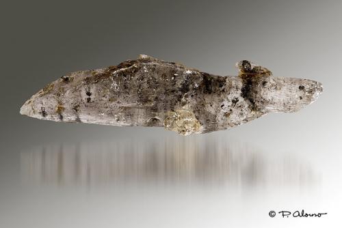 Yeso<br />Montalbán, Comarca Cuencas Mineras, Teruel, Aragon, Spain<br />15cm x 3,5cm x 2cm<br /> (Autor: Pere Alonso)