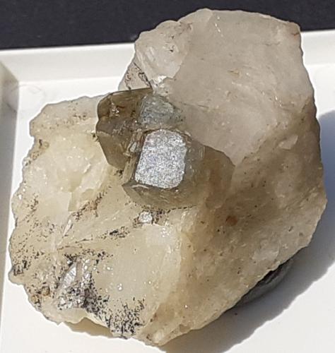 Fluorapatite<br />Aurina Valley (Ahrntal), Autonomous Province South Tyrol, Trentino-Alto Adige (Trentino-Südtirol), Italy<br />3 x 3 cm<br /> (Author: Volkmar Stingl)