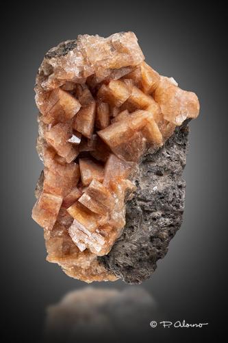 Chabasita<br />Bay of Fundy, Kings County, Nova Scotia, Canada<br />6cm x 4,5cm x 2,5cm<br /> (Autor: Pere Alonso)
