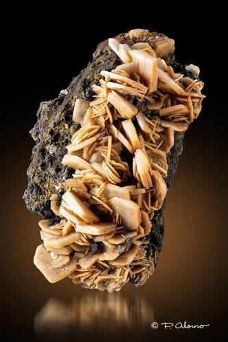 Barita<br />Victoria Mine, Cabezo de San Ginés, El Estrecho de San Ginés, Cartagena, Comarca Campo de Cartagena, Region of Murcia (Murcia), Spain<br />7cm x 6cm x 5cm<br /> (Autor: Pere Alonso)