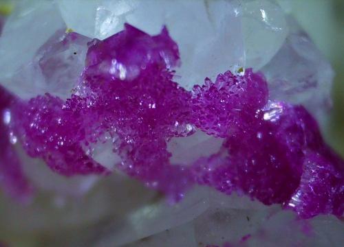 Erythrite, Quartz<br />Vignola Mine, Valsugana, Vignola-Falesina, Trento Province, Trentino-Alto Adige (Trentino-Südtirol), Italy<br />1,5 x 1,5 cm<br /> (Author: Volkmar Stingl)