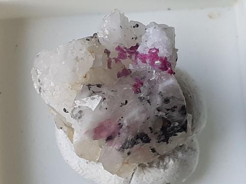 Erythrite, Quartz<br />Vignola Mine, Valsugana, Vignola-Falesina, Trento Province, Trentino-Alto Adige (Trentino-Südtirol), Italy<br />1,5 x 1,5 cm<br /> (Author: Volkmar Stingl)