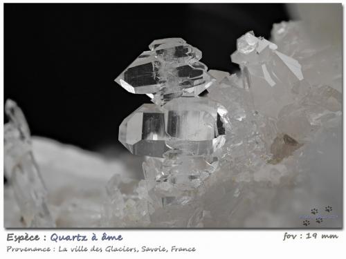 Faden Quartz<br />Ville des Glaciers, Saboya, Auvergne-Rhône-Alpes, Francia<br />fov 19 mm<br /> (Author: ploum)