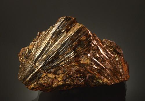 Astrophyllite<br />St Peters Dome, Cheyenne District, El Paso County, Colorado, USA<br />8.2 x 5.8 cm<br /> (Author: Michael Shaw)
