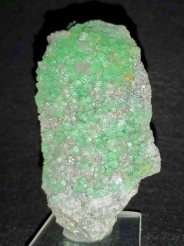 Fluorita<br />Pedrera Berta, Turó de Can Domènech, Serra de Roques Blanques, Sant Cugat del Vallès-El Papiol, Comarca Vallès Occidental / Baix Llobregat, Barcelona, Cataluña / Catalunya, España<br />8 x 4 cm.<br /> (Autor: Felipe Abolafia)