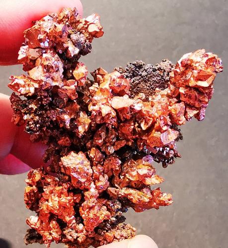 Copper<br />Bou Nahas Mine, Oumjrane mining area, Alnif Commune, Tinghir Province, Drâa-Tafilalet Region, Morocco<br />5cmx5cm<br /> (Author: Enrique Llorens)