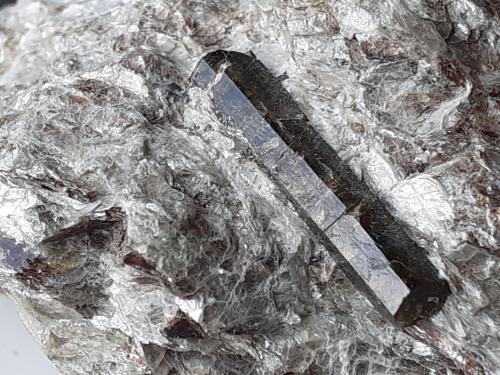 Dravite<br />Beura Quarries, Beura-Cardezza, Ossola Valley, Verbano-Cusio-Ossola Province, Piedmont (Piemonte), Italy<br />5 x 3,5 cm<br /> (Author: Volkmar Stingl)