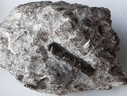 Dravite<br />Beura Quarries, Beura-Cardezza, Ossola Valley, Verbano-Cusio-Ossola Province, Piedmont (Piemonte), Italy<br />5 x 3,5 cm<br /> (Author: Volkmar Stingl)