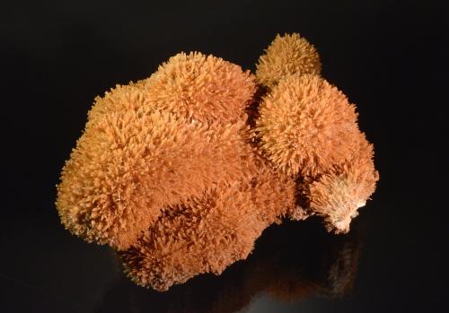 Gypsum<br />Hagans, Monongalia County, West Virginia, USA<br />22.4 x 15.7 cm<br /> (Author: Michael Shaw)