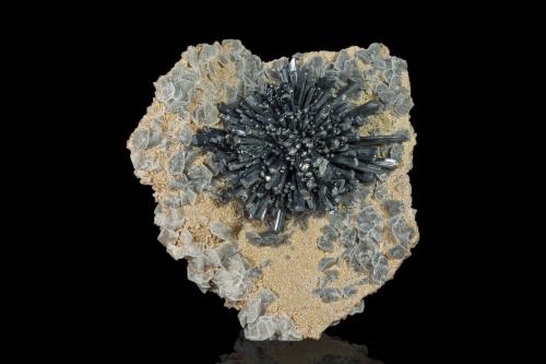 Stibnite on Calcite and Calcite with Boulangerite inclusions<br />Herja Mine, Chiuzbaia, Baia Sprie, Maramures, Romania<br />16.5 x 16 x 6 cm / main crystal: 4.4 cm<br /> (Author: MIM Museum)