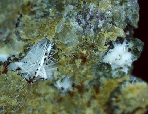 Rhodesite<br />Stradner Kogel, Wilhelmsdorf, Gleichenberger, Bad Gleichenberg, Südoststeiermark, Estiria/Steiermark, Austria<br />1,7 x 1,3 cm<br /> (Author: Volkmar Stingl)