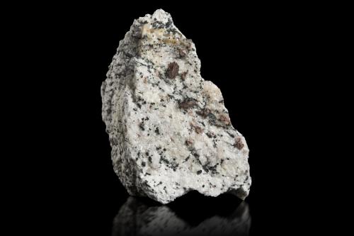 Tilasite<br />Monte Cervandone, Devero Alp, Baceno, Ossola Valley, Verbano-Cusio-Ossola Province, Piedmont (Piemonte), Italy<br />6 x 3.5 x 8 cm / main crystal: 0.8 cm<br /> (Author: MIM Museum)