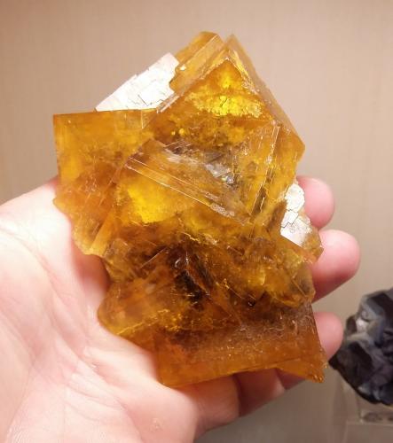 Fluorite<br />Malwine Mine, Bergmännisch Glück Flacher vein, Wismut shaft 29b, Frohnau, Annaberg-Buchholz, Annaberg District, Erzgebirgskreis, Saxony/Sachsen, Germany<br />Specimen size 10 cm, largest crystals 4 cm<br /> (Author: Tobi)