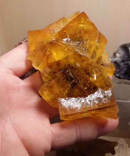 Fluorite<br />Malwine Mine, Bergmännisch Glück Flacher vein, Wismut shaft 29b, Frohnau, Annaberg-Buchholz, Annaberg District, Erzgebirgskreis, Saxony/Sachsen, Germany<br />Specimen size 10 cm, largest crystals 4 cm<br /> (Author: Tobi)