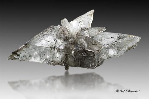 Yeso<br />Cantera Santa María, Ariño, Comarca Andorra-Sierra de Arcos, Teruel, Aragón, España<br />16cm x 6cm x 6cm<br /> (Autor: Pere Alonso)