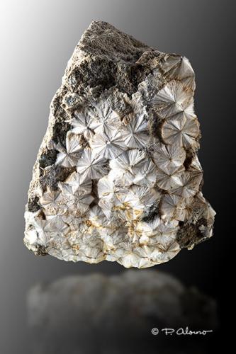 Escolecita<br />Cantera Soriana, El Prat, Soriana, Estopiñán del Castillo, Comarca La Ribagorza, Huesca, Aragón, España<br />7,5cm x 9cm x 4,5cm<br /> (Autor: Pere Alonso)