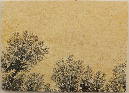 manganese dendrites<br />Limestone quarries, Solnhofen, Weißenburg-Gunzenhausen District, Middle Franconia, Bavaria/Bayern, Germany<br />Specimen size 18 x 13 cm<br /> (Author: Tobi)