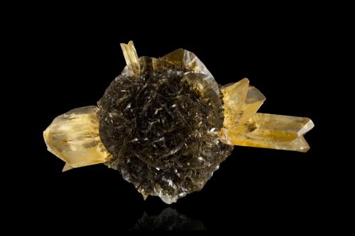 Yeso<br />Red River floodway, Winnipeg, Winnipeg Capital Region, Manitoba, Canada<br />13 x 8 x 7 cm<br /> (Autor: Museo MIM)