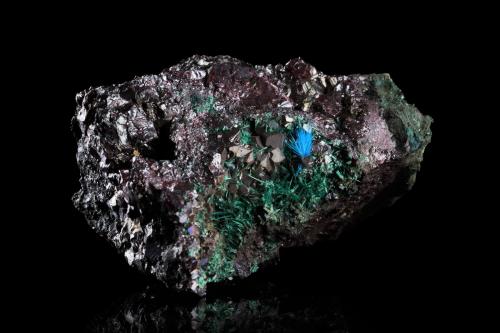 Buttgenbachite with Cuprite and Malachite<br />Likasi Mine (Panda Mine), Likasi, Katanga Copper Crescent, Katanga (Shaba), Democratic Republic of the Congo (Zaire)<br />8 x 6 x 6 cm / main crystal: 1 cm<br /> (Author: MIM Museum)