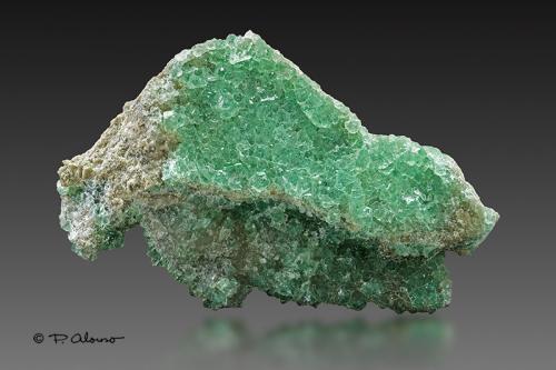 Fluorita<br />Pedrera Berta, Turó de Can Domènech, Serra de Roques Blanques, Sant Cugat del Vallès-El Papiol, Comarca Vallès Occidental / Baix Llobregat, Barcelona, Cataluña / Catalunya, España<br />9cm x 6cm x 1,5cm<br /> (Autor: Pere Alonso)