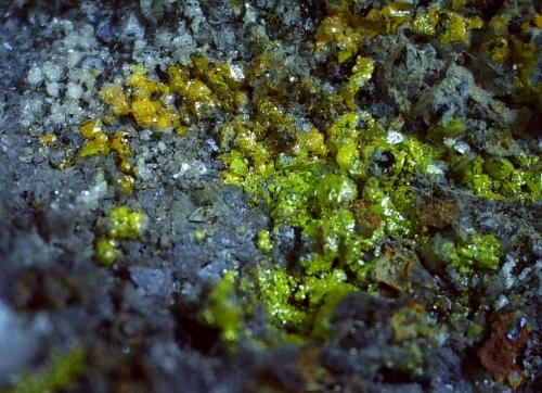 Greenockite<br />Zona minera Bleiberg, Bad Bleiberg, Distrito Villach-Land, Carintia/Kärnten, Austria<br />4 x 2,5 cm<br /> (Author: Volkmar Stingl)