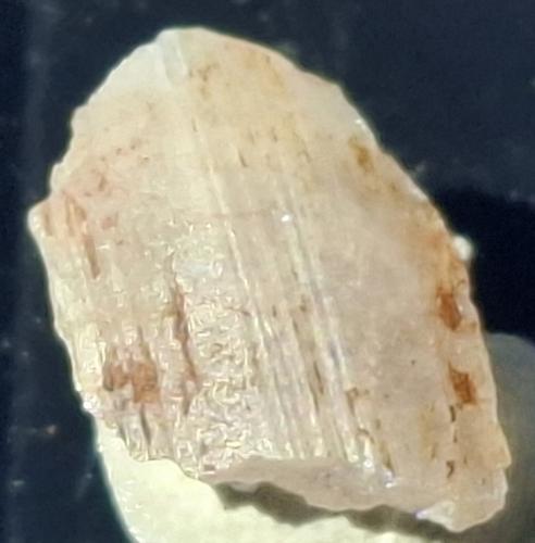 Soerensenite<br />Ilímaussaq, Narsaq, Kujalleq, Groenlandia<br />1,0 x 0,7 cm<br /> (Author: Volkmar Stingl)